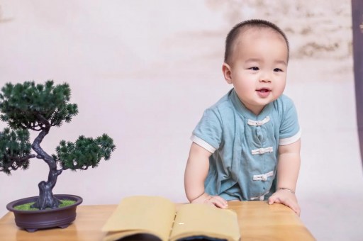 漯河可爱的企鹅宝宝